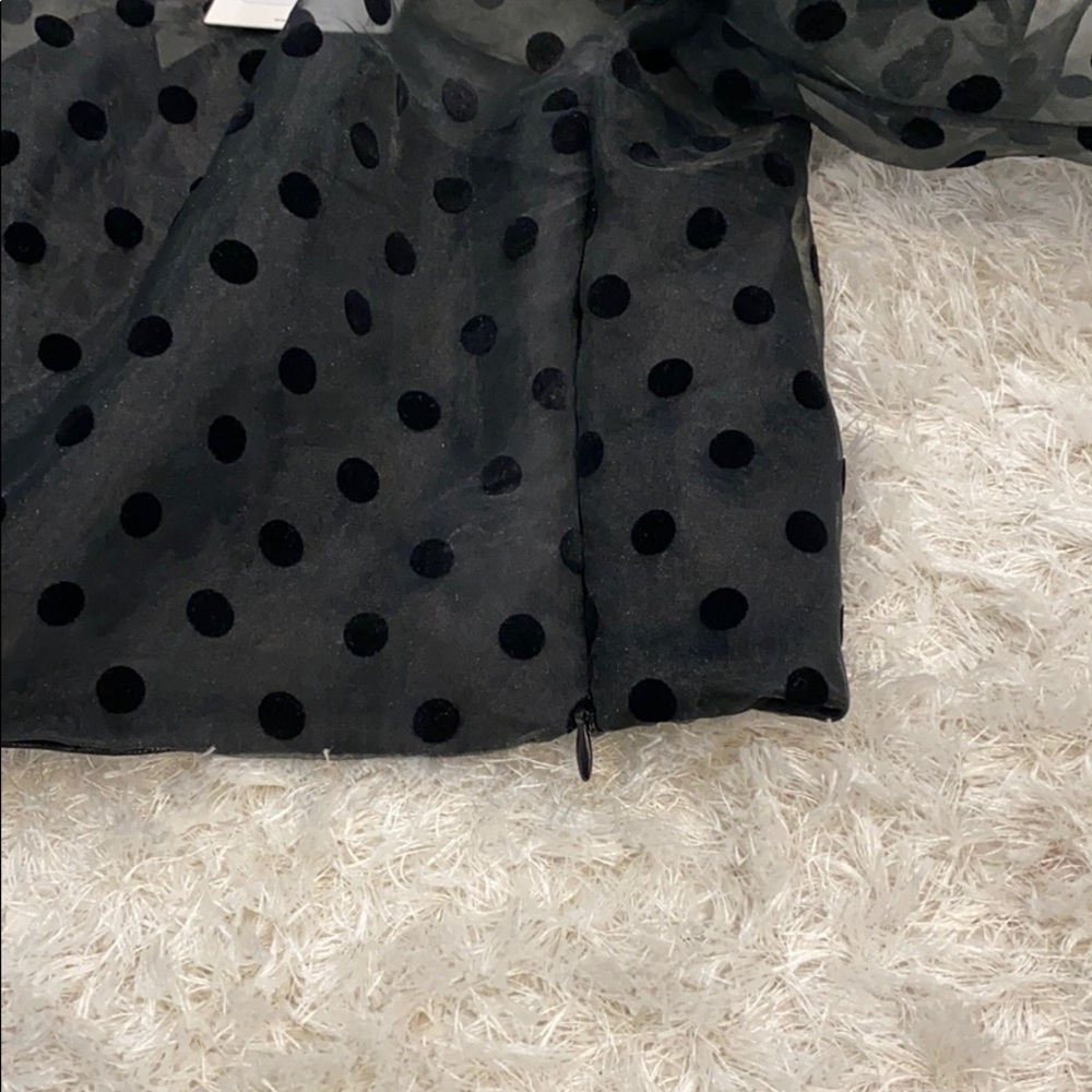 Zara black sheer polkadot crop top. - Picture 5 of 5